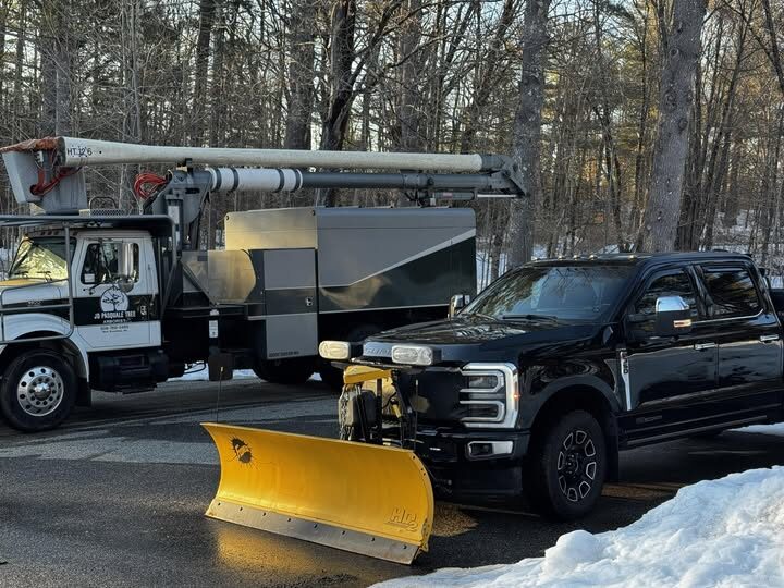 The company's white aerial bucket truck, 'JD Pasquale Tree' lettered on the door, parked behind a black pickup fitted with a snowplow blade on a winter driveway.
