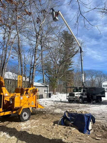 Aerial bucket truck with boom fully extended into a tree canopy over a snowy residential yard, wood chipper and tarped brush pile in the foreground.