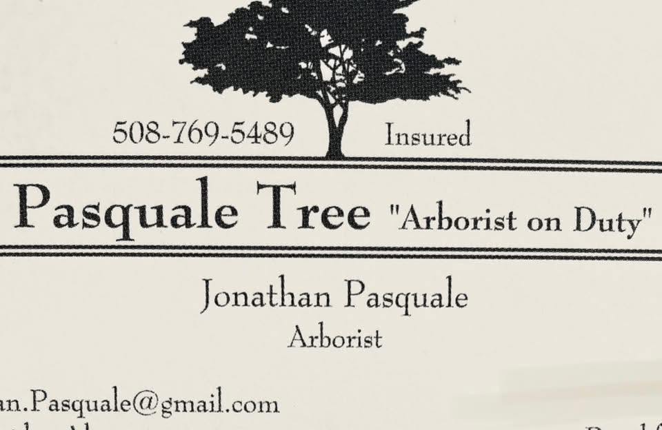 The business's printed card: tree silhouette mark, phone and 'Insured' line, 'Pasquale Tree, Arborist on Duty', Jonathan Pasquale, Arborist.