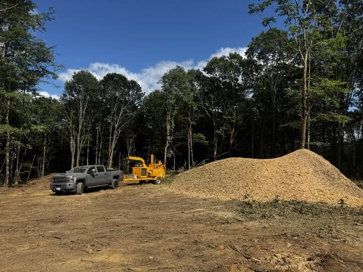 A gray pickup and yellow wood chipper parked at a cleared forest lot beside a large pile of processed wood chips.
