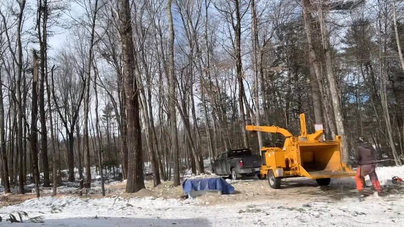 A pickup and wood chipper set up in a snowy wooded lot, a crew member in orange safety gear feeding brush into the chipper.
